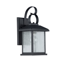 Load image into Gallery viewer, RADIANCE goods 1 Light Black Outdoor Wall Sconce 13" Tall