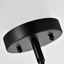 Load image into Gallery viewer, RADIANCE goods Transitional 1 Light Black/Brass Ceiling Pendant 10" Wide