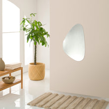 Load image into Gallery viewer, RADIANCE goods Large Frameless Wall Mirror 24x39