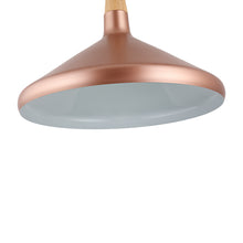 Load image into Gallery viewer, RADIANCE goods Contemporary 1 Light Matt Rose Gold Ceiling Pendant 15" Wide