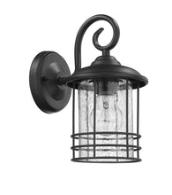 Load image into Gallery viewer, RADIANCE goods Transitional 1 Light Black Outdoor Wall Sconce 10" Height, 2-pack