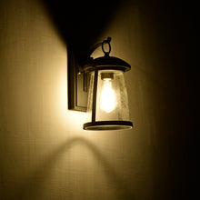 Load image into Gallery viewer, RADIANCE goods Transitional 1 Light Textured Black Outdoor Wall Sconce 12" Height