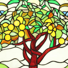 Load image into Gallery viewer, RADIANCE goods Fruits of Life Stained Glass Window Panel 18"x25"