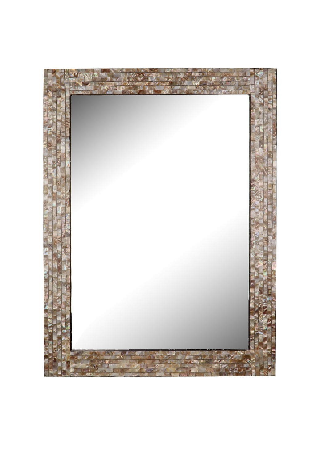 RADIANCE goods Seashell Finish Rectangular Framed Wall Mirror 32