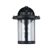Load image into Gallery viewer, RADIANCE goods 1 Light Black Outdoor Wall Sconce 10&quot; Tall
