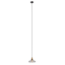 Load image into Gallery viewer, RADIANCE goods Transitional 1 Light Black/Brass Ceiling Pendant 10&quot; Wide
