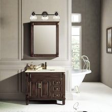 Load image into Gallery viewer, RADIANCE goods 3 Light Rubbed Bronze Finish Bath Vanity Fixture 26&quot; Wide
